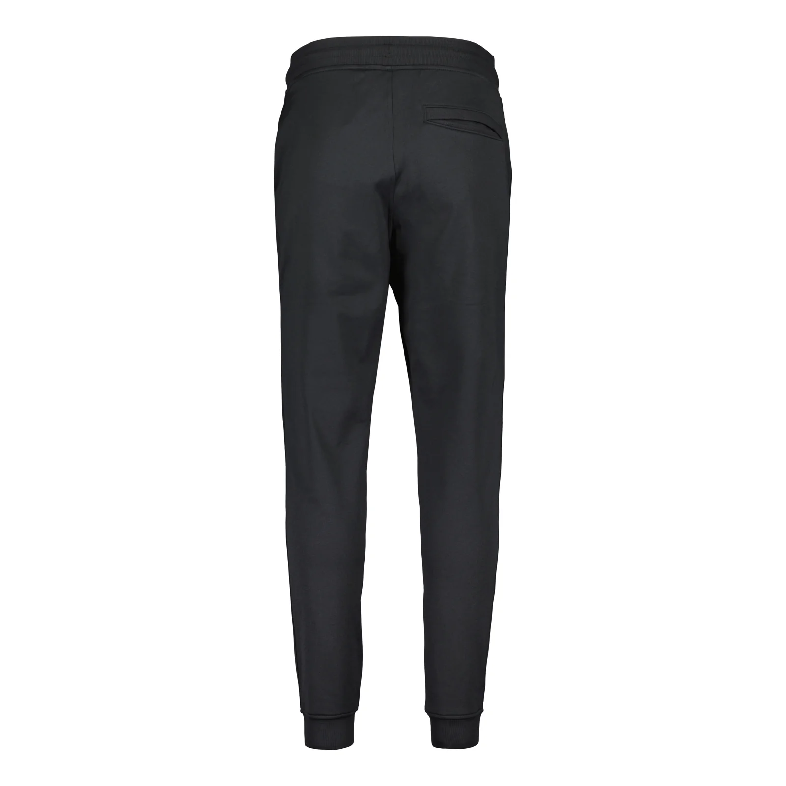 Leijonat x Under Armour verryttelyhousut - Image 3